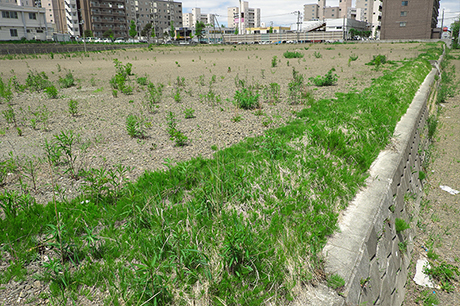 事業用地を売却した事例